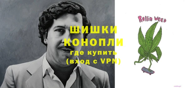 PSILOCYBIN Богородицк