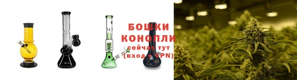a pvp Богданович