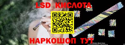 тгк Новодвинск