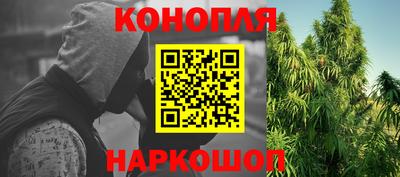 тгк Новодвинск