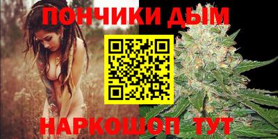 тгк Новодвинск