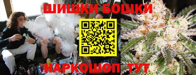 тгк Новодвинск