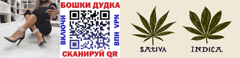купить наркотики сайты  мориарти формула  Бошки марихуана MAZAR  Северск 