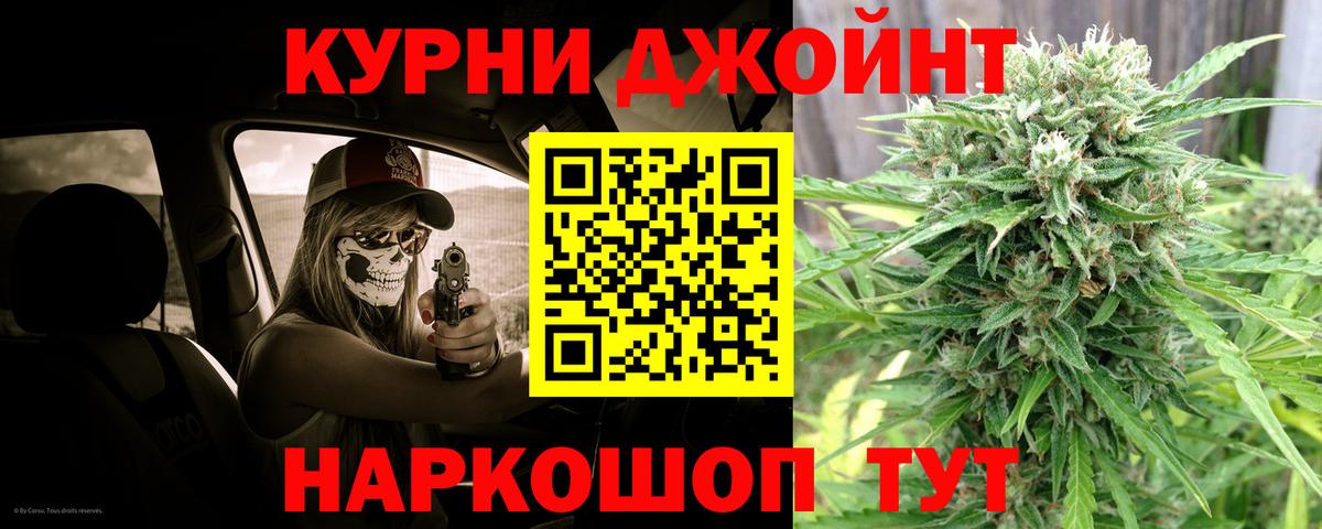 Канабис White Widow  Бошки марихуана план  Вход с VPN  Бошки Шишки Bruce Banner  Северск 